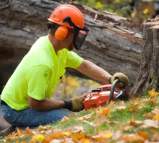 tree services Redby